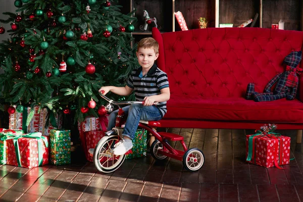 Küçük çocuk binicilik bisiklet Noel ağacı ile odada gülümseyen, yeni yıl hediyeleri, kırmızı Koç, fotoğraf stüdyosu kitap raf