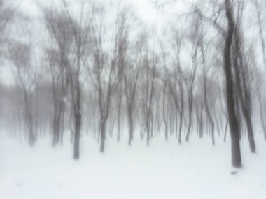 kar fırtınası'nda kış orman soyut Mobil fotoğraf