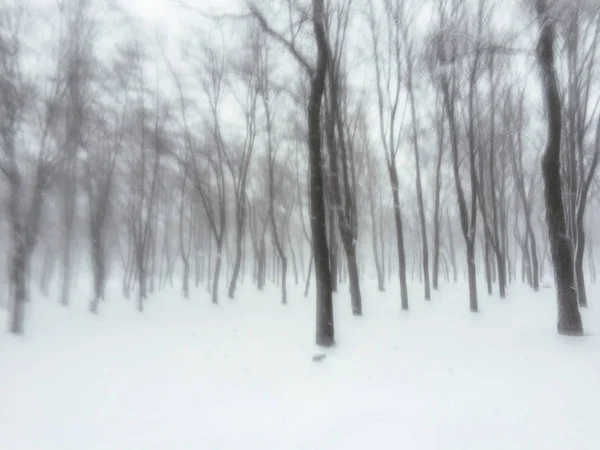 Photographie Mobile Abstraite Tempête Neige Dans Forêt Hivernale — Photo