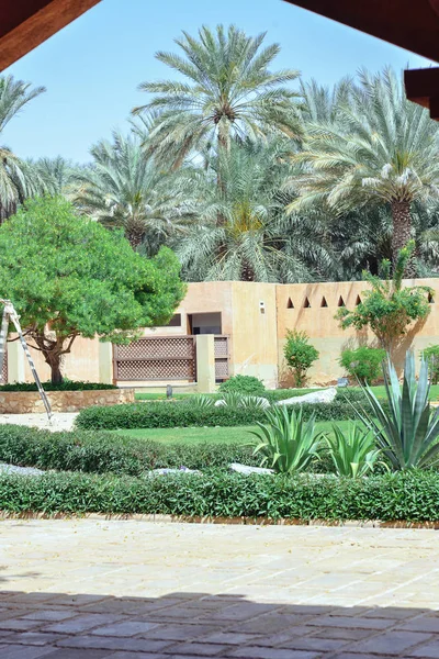 Typické Historické Orientální Loděnice Arabskou Architekturu Dlaně — Stock fotografie