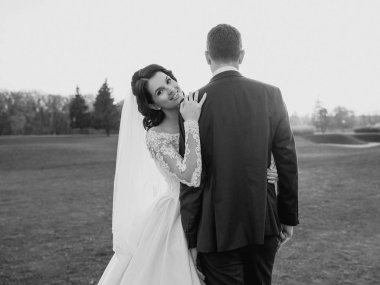 Gölde gri ve beyaz kuğular