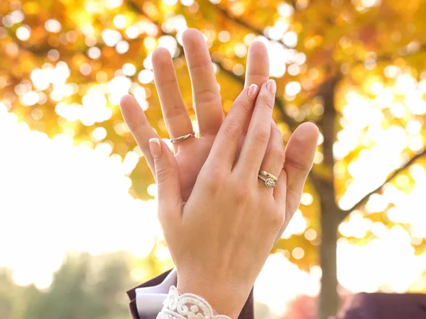 Handen Van Een Verliefd Echtpaar Relatie Liefde Tederheid — Stockfoto