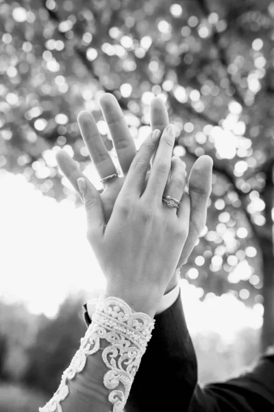 Mãos Par Casamento Amor Conceito Relacionamento Amor Ternura — Fotografia de Stock