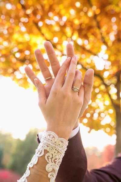 Handen Van Een Verliefd Echtpaar Relatie Liefde Tederheid — Stockfoto