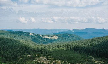 Ukrayna 'nın Karpat Dağları manzarası. Seyahat, turizm ve doğa konsepti