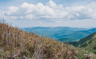 Ukrayna 'nın Karpat Dağları manzarası. Seyahat, turizm ve doğa konsepti