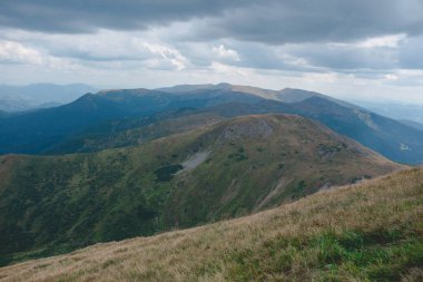 Ukrayna 'nın Karpat Dağları manzarası. Seyahat, turizm ve doğa konsepti