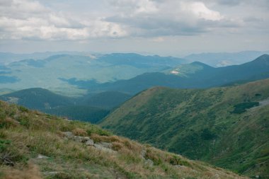Ukrayna 'nın Karpat Dağları manzarası. Seyahat, turizm ve doğa konsepti