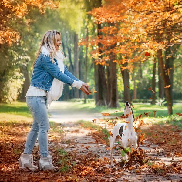 Bela Mulher Linda Jeans Roupas Andando Com Cão Chicote Livre — Fotografia de Stock