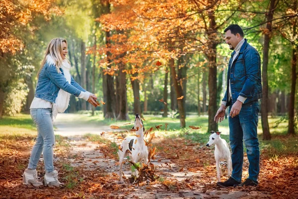 にはジーンズ姿の可愛いカップル 女性と男性 が犬と屋外を歩いています 健康的なライフスタイルの概念 — ストック写真