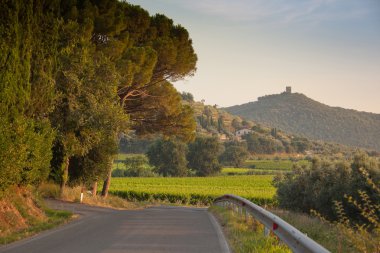 Donoratico, Castagneto Carducci, Livorno - Tuscany clipart