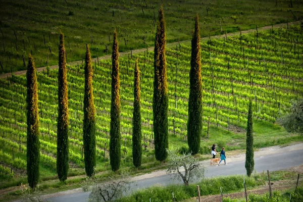 Valgiano, Lucca - Toscana, Italia — Foto Stock