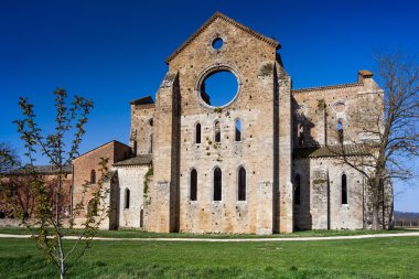 Cistercian Manastırı, San Galgano Chiusdino, Toskana, İtalya