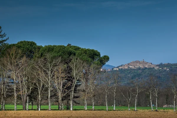 Κιστερκιανή Μονή του San Galgano κοντά Chiusdino, Τοσκάνη, Ιταλία — Φωτογραφία Αρχείου