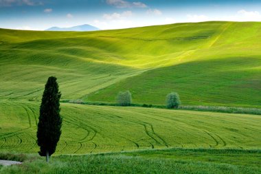 Val d'Orcia, Siena, Toskana, İtalya - gezi dağ bisikleti