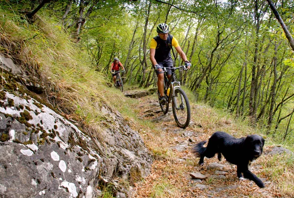 Τρία Limentre, Λούκα, Τοσκάνη - ιππασία ποδήλατο βουνού — Φωτογραφία Αρχείου
