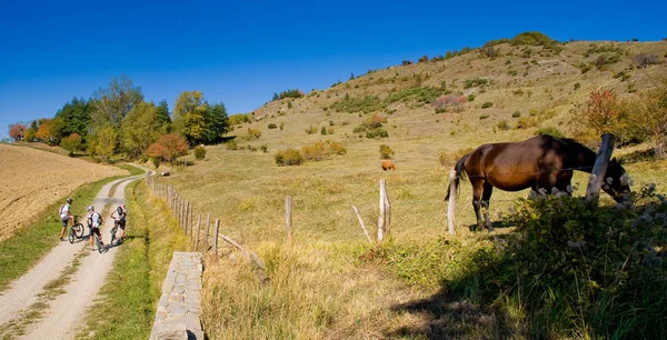 Tiravento Mont, Premilcuore, Forli, Romagne - Montagne à cheval — Photo