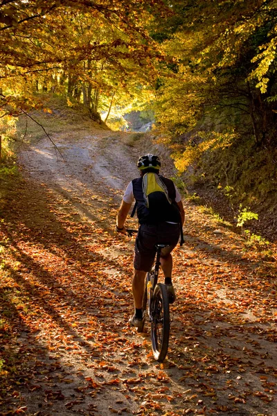 Tiravento Mount, Premilcuore,  Forli, Romagna - Riding mountain — Stock fotografie