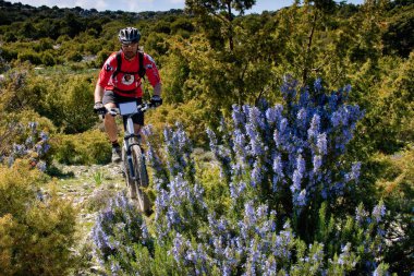 Dağlar ve deniz - sürme dağ bisikleti arasında Sardunya