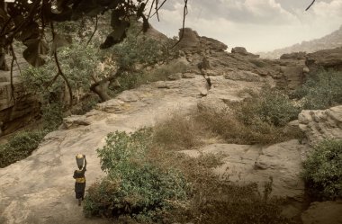 Dogon village, Dogon ülke, Tireli, Mali, Afrika