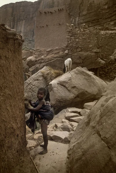 Villaggio Dogon, Terra Dogon, Tireli, Mali, Africa — Foto Stock