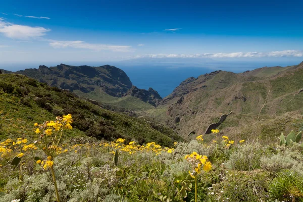 Punta de Teno, Tenerife, Canary, Espana — Stock Photo, Image