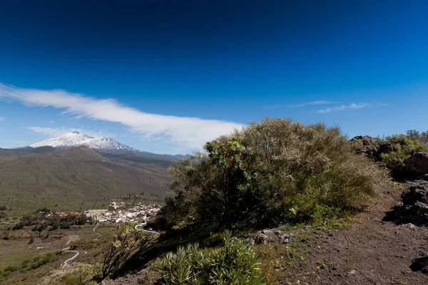Természeti Park a Teide, Tenerife, Kanári, Espana — Stock Fotó