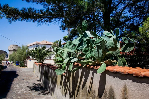 Capraia Island, Arcipelago Toscano National Park, Toscana, Itália — Fotografia de Stock