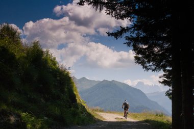 Lagorai dağın. Trentino Alto Adige. İtalya, orman yolu Coldos