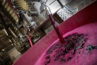 Bolgheri, Tuscany - Processing of the vineyards clipart