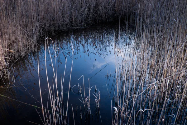 Massaciuccoli, Lucca, Toskana, Italien - Naturschutzgebiet Oase Lipu — Stockfoto