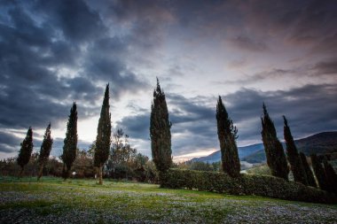 Casale Marittimo, Pisa, Toskana - İtalya
