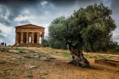 Agrigento, İtalya - 15 Ekim 2009: Agrigento dışında tapınak vadisinde antik Yunan Simgesel Yapı