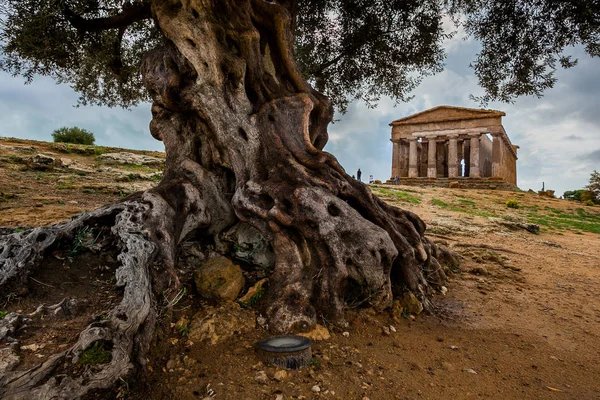 Agrigento, Italië - 15 oktober 2009: oude Griekse landmark in de vallei van de tempels buiten Agrigento — Stockfoto