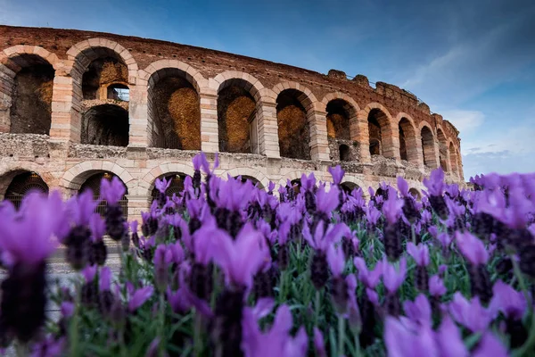 Verona İtalya - Cityscape Verona, Veneto — Stok fotoğraf