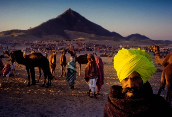 Pushkar, India - 17 November: Kamelen op het jaarlijkse vee eerlijke — Stockfoto