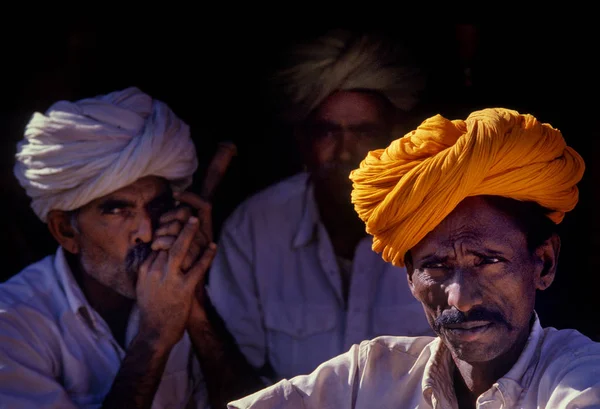 PUSHKAR, INDE - 17 NOVEMBRE : Chameaux à la foire annuelle du bétail — Photo