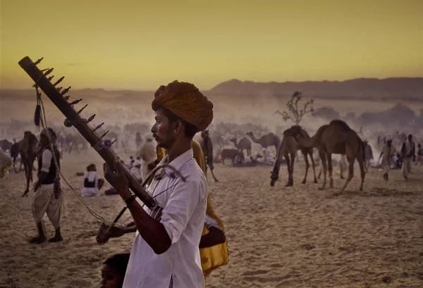 PUSHKAR, ÍNDIA - NOVEMBRO 17: Camelos na feira anual de gado — Fotografia de Stock