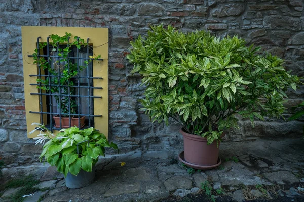 Lerma, Piedmont, Italy - Views of the ancient village — Stock Photo, Image