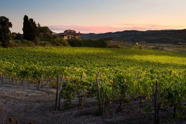 Val D'Orcia, Toskana/İtalya - Val d'Orcia bağ 
