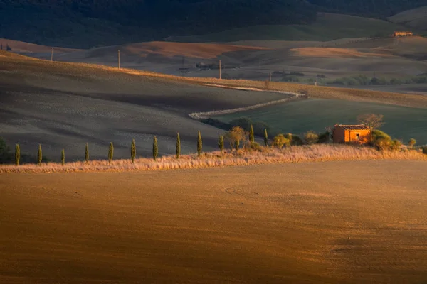 Тоскана, Италия - ландшафт Тосканы с катящимися шипами — стоковое фото