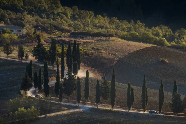 Toscana, Italia - Paesaggio toscano con dolci colline — Foto Stock