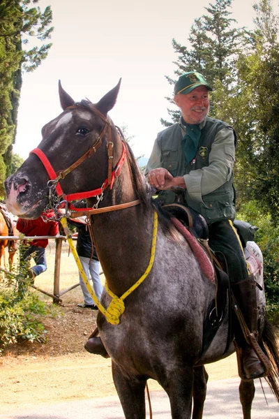 Bolgheri, Toskana: Eylül 27, 2008 - bir at ormanlar arasında 