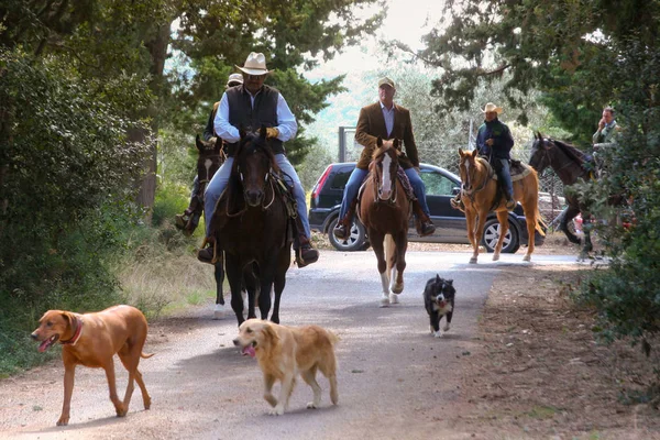 Bolgheri, Toskana: Eylül 27, 2008 - bir at ormanlar arasında 