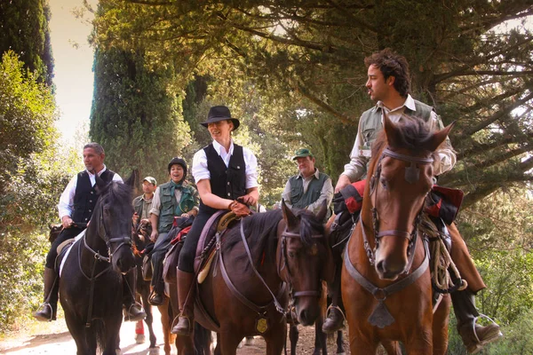 Bolgheri, Toskana: Eylül 27, 2008 - bir at ormanlar arasında 