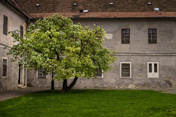 Budapest Magyarország fővárosa a Duna szeli — Stock Fotó