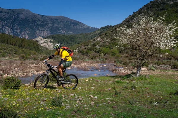 Sardinien mellan bergen och havet - ridning mountainbike — Stockfoto