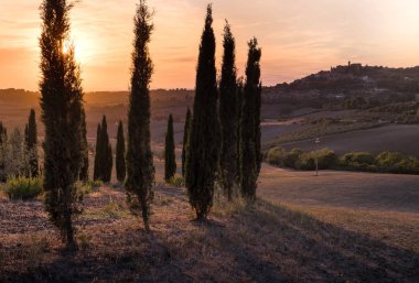 Casale Marittimo, Tuscany, İtalya, görüntülemek selvi Eylül üzerinden