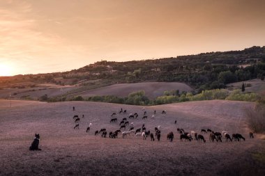 Casale Marittimo, Tuscany, İtalya, görüntülemek ile t ile alanlar