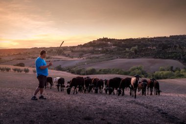 Casale Marittimo, Tuscany, İtalya, görüntülemek ile t ile alanlar